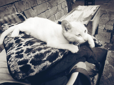 唔，垫子很舒服，但是也很热呀。。