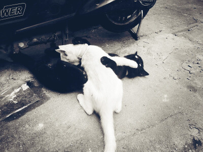 恩，卿卿我我神马的