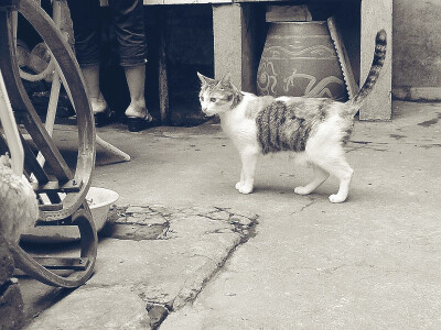 啧啧啧，姐看不下去了。。。（刚生产完的猫妈）