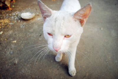 别妨碍咱视察领地啊