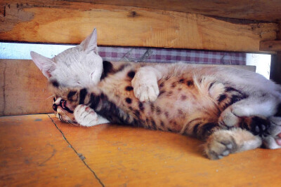 原来你们是这样的关系吗。。。ORZ