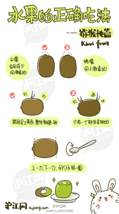 猕猴桃=奇异果=kiwi=참다래=キウイ