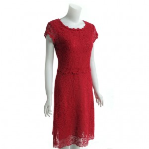 Red Valentino Sleeveless Lace Dress | Oh My Yan