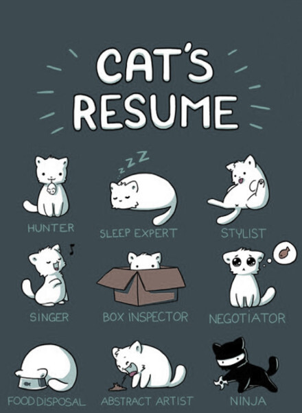 喵星人的职能简历（Cat’s Resume）