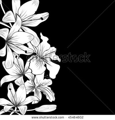 stock vector : Black and white background with white flowers