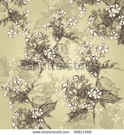 stock vector : background with hand drawn guelder roses