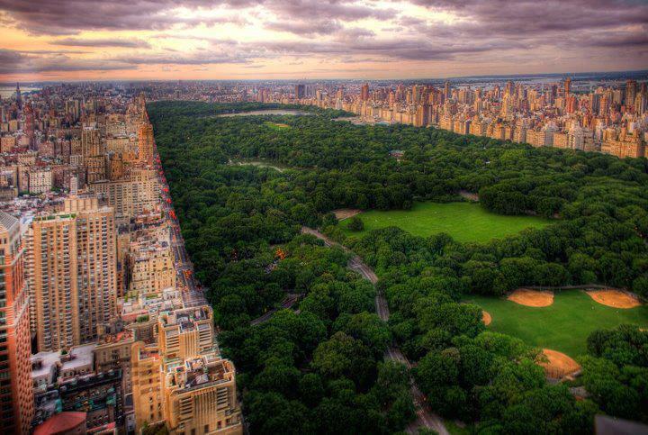 Central park NY