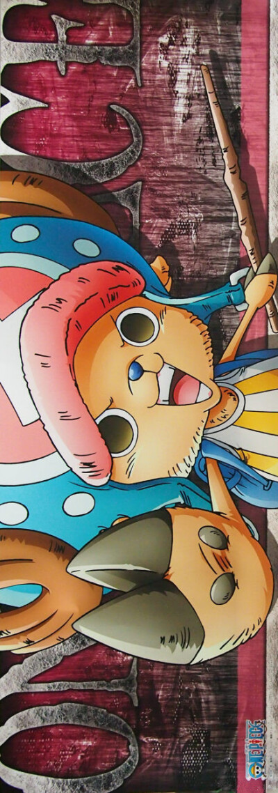 ONE PIECE |chopper