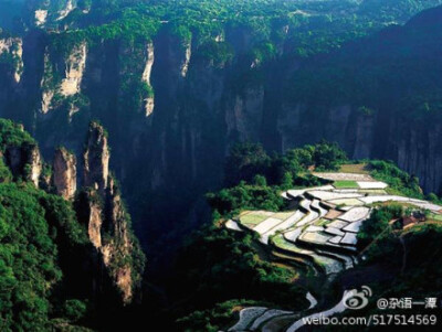 张家界天子山的空中田园