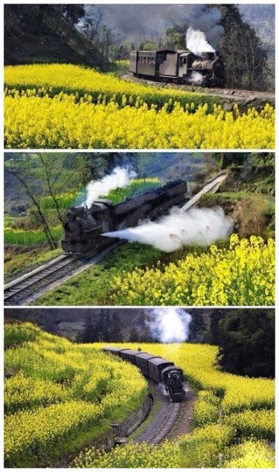到四川乐山坐坐窄轨蒸汽小火车吧！每年的4月份，是那里最美的时候，这样的速度可以让你慢慢欣赏窗外的大片油菜花。