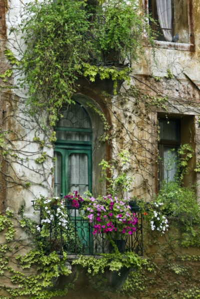 bluepueblo: Flowered Balcony, Paris, France photo via inlovewithberni