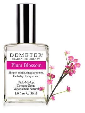 Plum Blossom