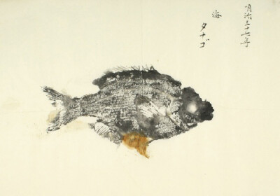 源自日本的鱼拓艺术