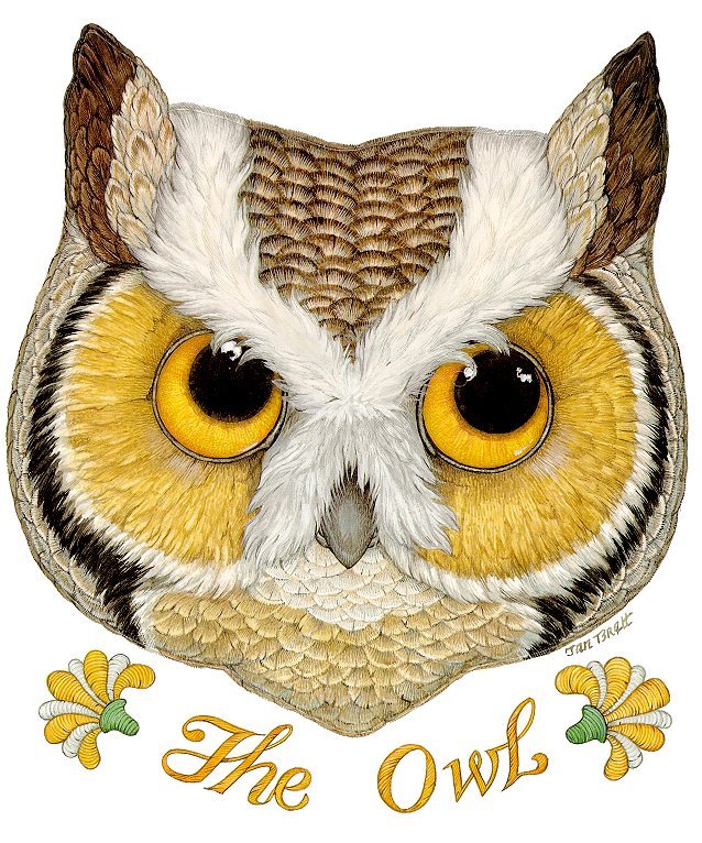 The owl,love it!