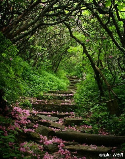 终日昏昏醉梦间，忽闻春尽强登山。因过竹院逢僧话，偷得浮生半日闲。