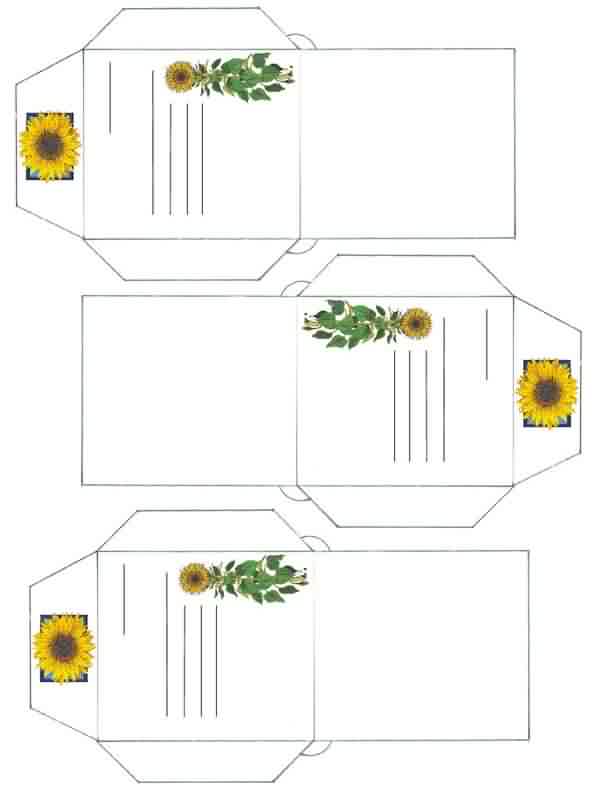 花种分享用的小信封，用A4纸打出来的大小就是正好3个的。