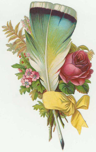 1883年復古羽毛花插圖