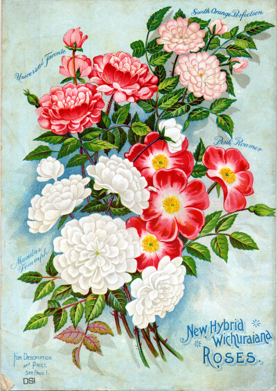1898年復古卡片插圖