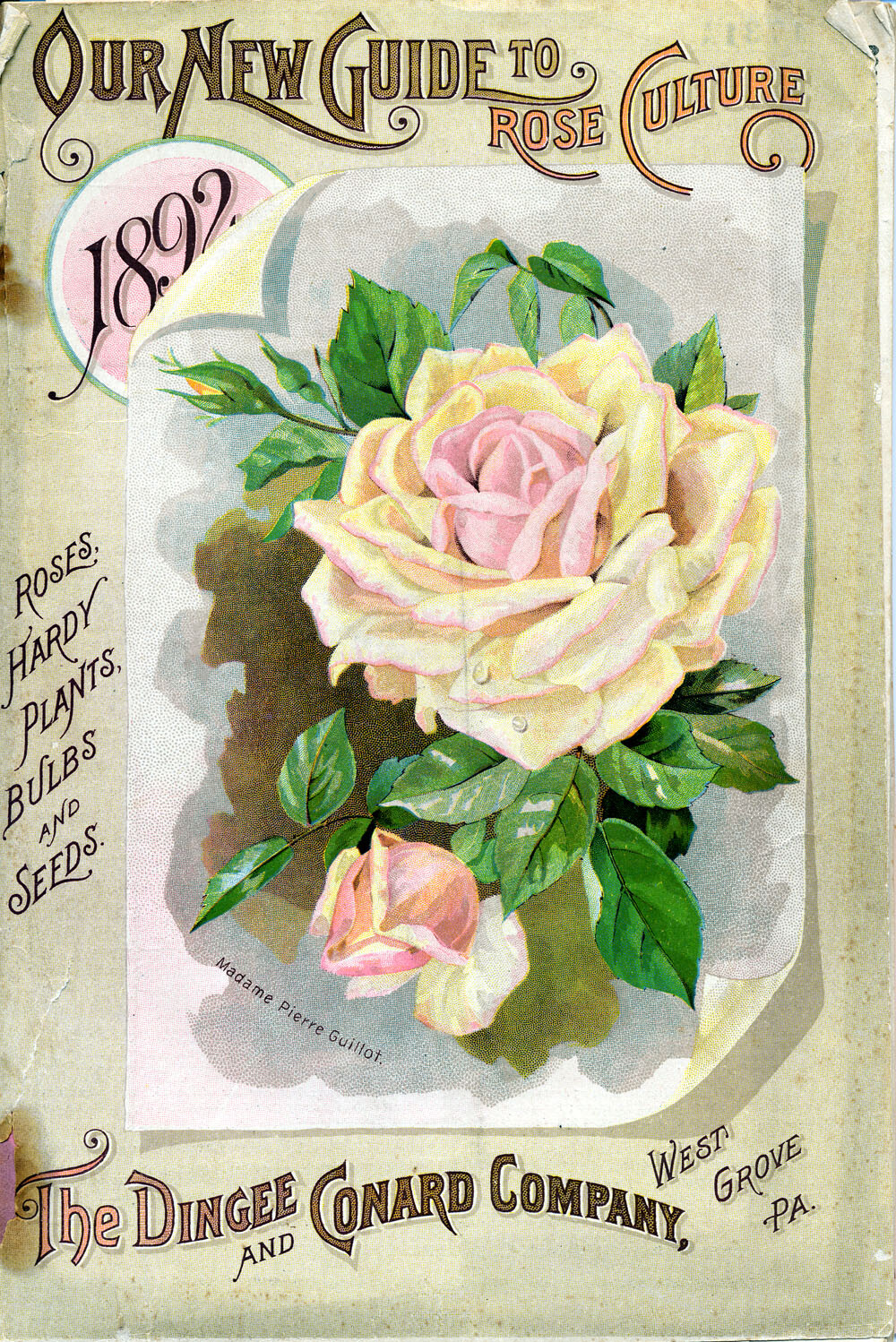 1892年復古卡片插圖