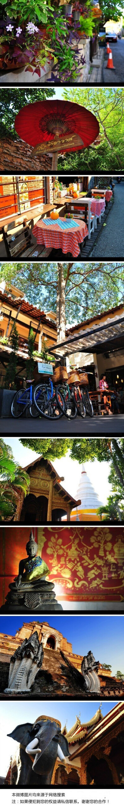 【泰国清迈】市内风景秀丽，遍植花草，尤以玫瑰花最为著名，有“北国玫瑰”的雅称，是个可以让人停下来细细品味的城市。正如邓丽君的一首“小城故事”解释不了她对清迈的感情，所以她将一生留在了那里。