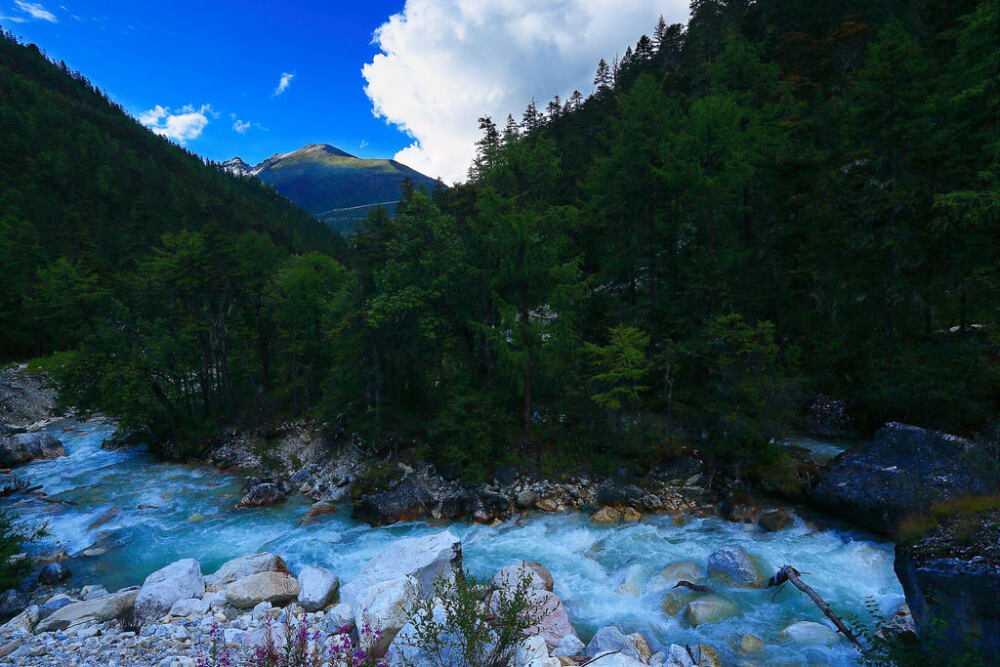 山水稻城