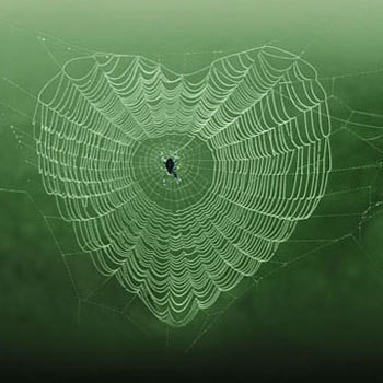 spiderweb heart