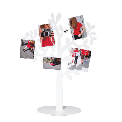 加拿大UMBRA原装进口原装进口 创意礼品 月桂树相架相框相片树