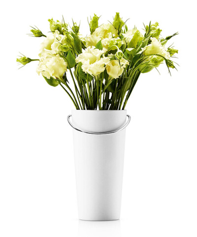 丹麦EVA SOLO原装进口 创意礼品 简约实用结合带手提功能花瓶