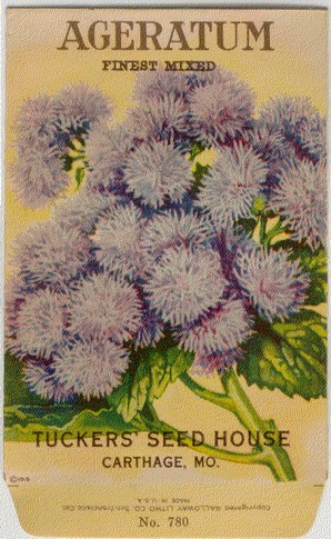 1930年復古花卉種子包藿香石板畫