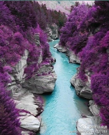 梦幻的紫~仿佛进入仙境一般，这里是斯凯岛的仙女池，苏格兰，你被迷住了吗