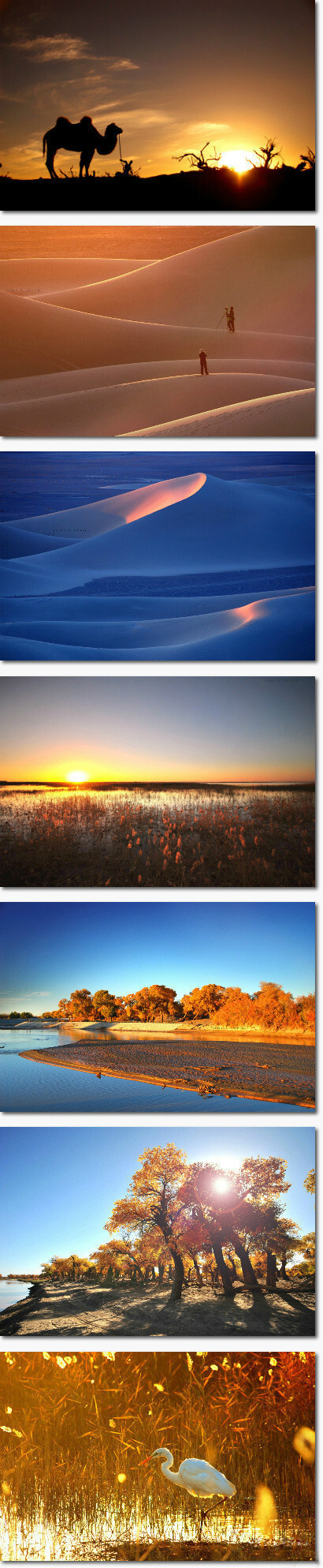 大漠独拥绿洲的居延海 神秘又壮丽的黑城 堆糖 美图壁纸兴趣社区