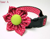 Fuchsia Pink Polka fabric Dog Collar and flower set (Medium ,Large or X-Large Size)- Adjustable