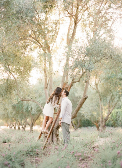 Whimsical Ranch Engagement Ladder Bride Groom White Gray