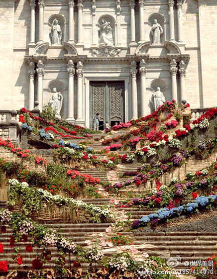 西班牙 Girona】一层层的花铺了满地，悦目、悦鼻、悦心