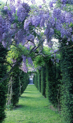 法国。La Ballue城堡花园。美好的色彩。