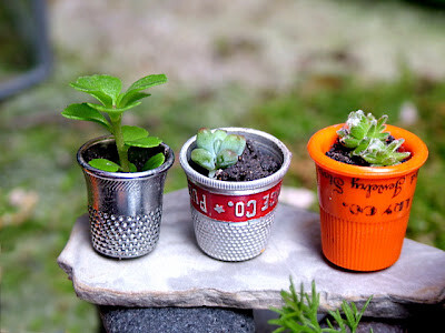 Fairy greenhouse. smallworldlandblog: http://smallworldland.blogspot.com/2012/07/miniature-greenhouse.html