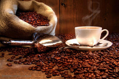 品味咖啡-咖啡豆上的咖啡生活百科图片素材