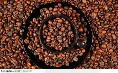 咖啡豆和咖啡杯生活百科图片素材