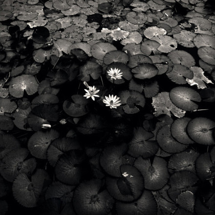 痛而不言是一种智慧，笑而不语是一种豁达