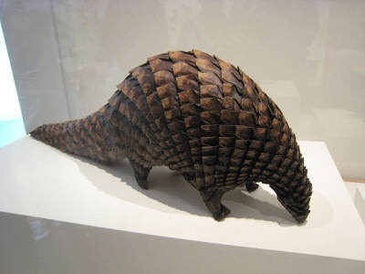 Pangolin, 1997 - Eric Joisel 最厉害的折纸是把细节明确到鳞片跟羽毛