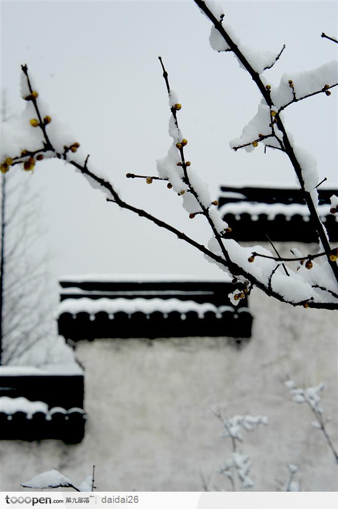 浙江桐乡市风光-漂亮的乌镇雪景中华传统图片素材