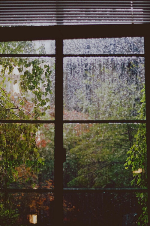 雨·窗