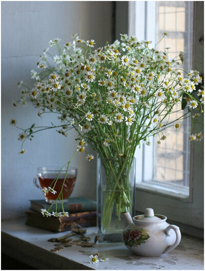 By Ира Быкова-Camomiles on a window sill...窗台上的小雏菊