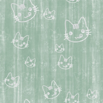 小猫咪╯з ︶ 麽麽