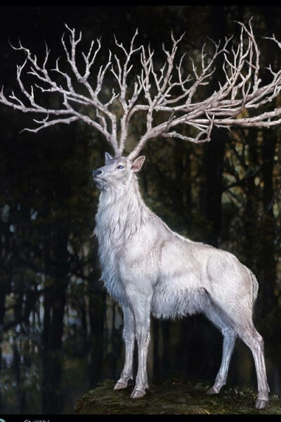 White deer design in the Snowwhite film