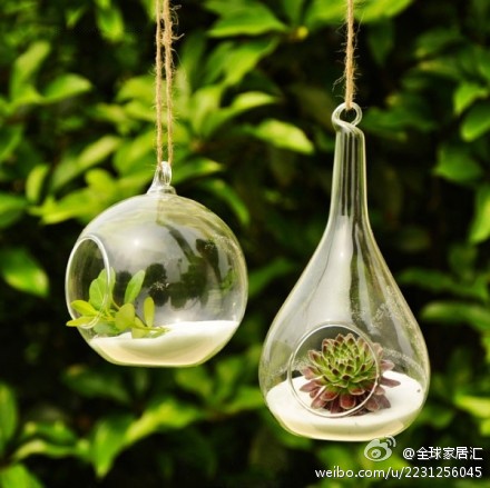 好漂亮啊，悬挂的玻璃花瓶
