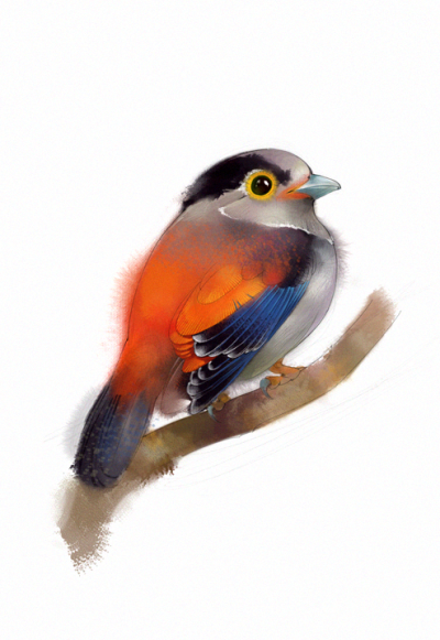 查看《Birds》原图，原图尺寸：494x717