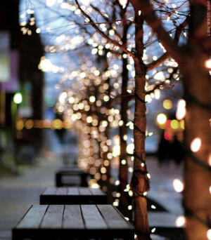 街边灯光树影，空旷而温暖。