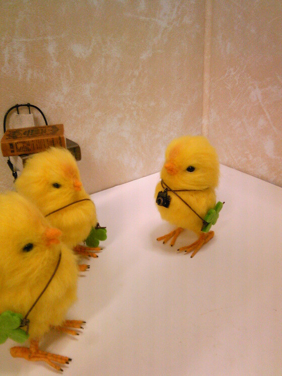 报告鸡长！飞机即将到达确定高度！我已做好跳伞准备！