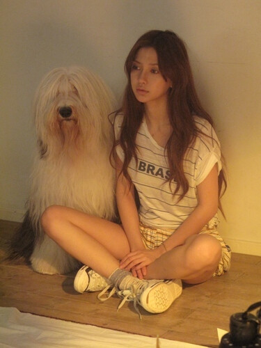 -、AB、Angelababy、Mm、牧羊犬、纯粹、你的笑容等于我一整片的天空、